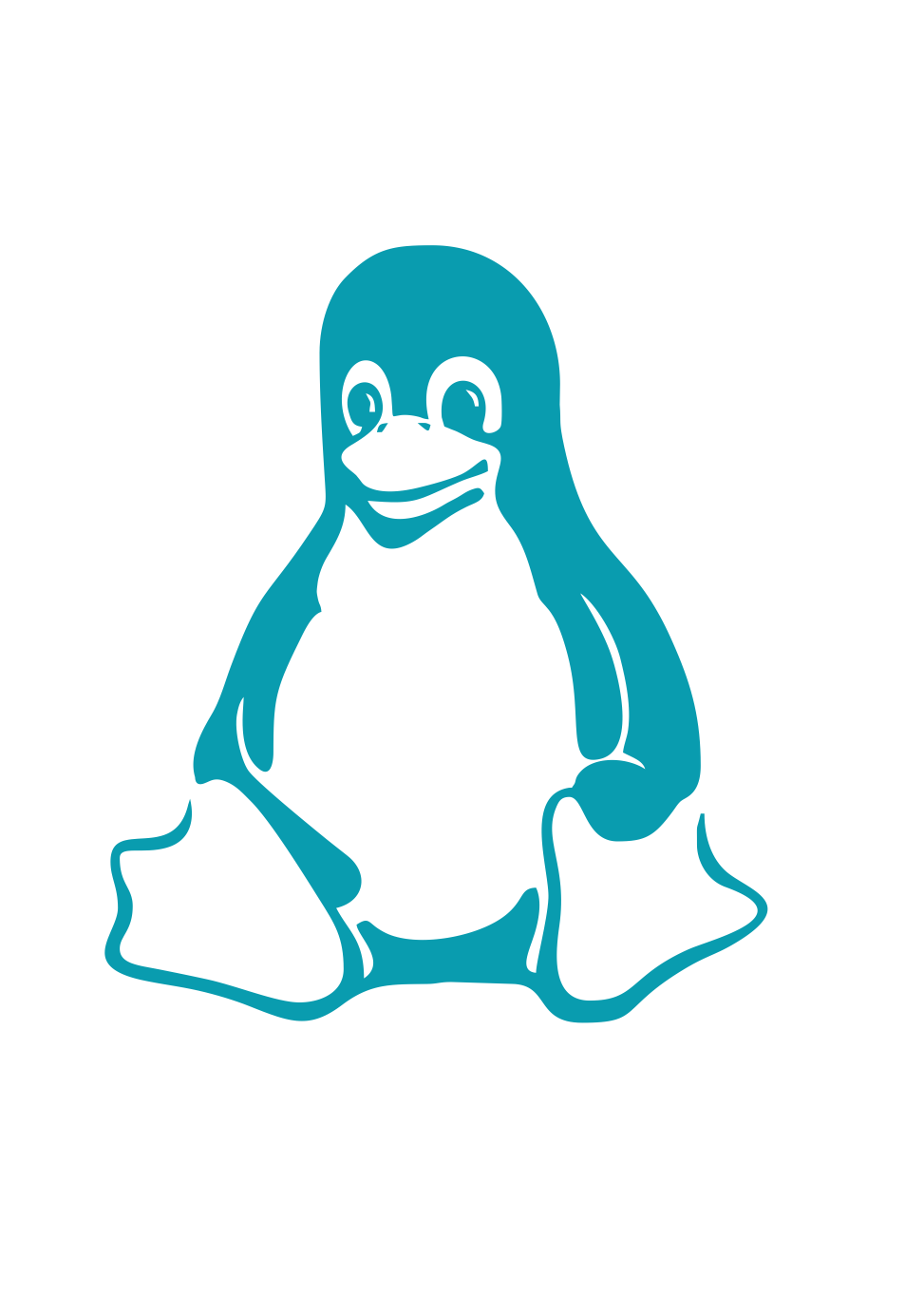 Linux Expert